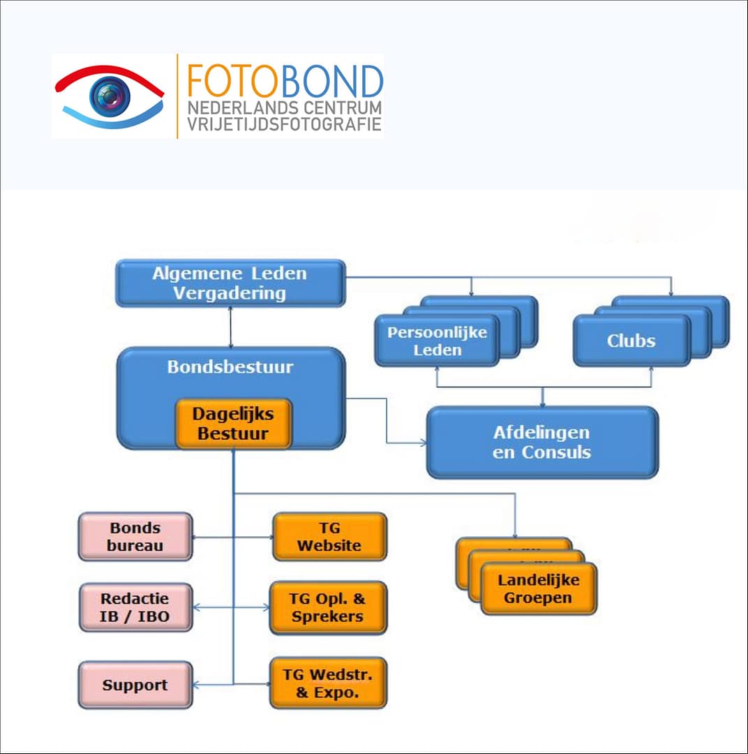 Fotobond