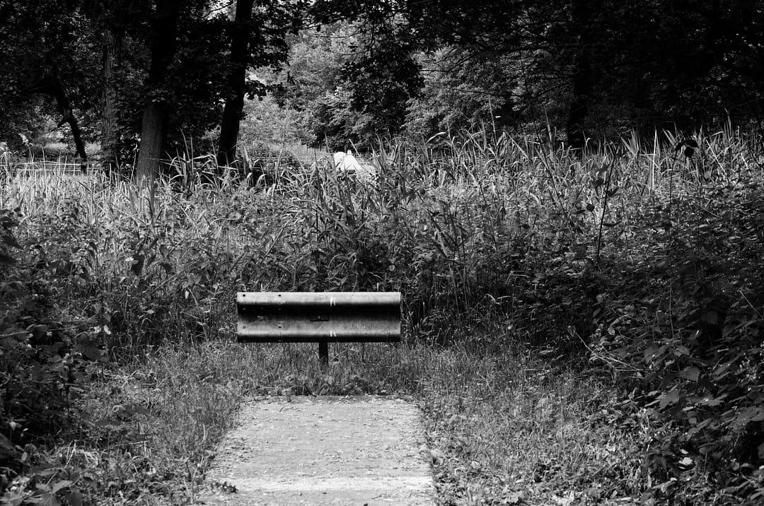 Verbeke Art DSC_5565