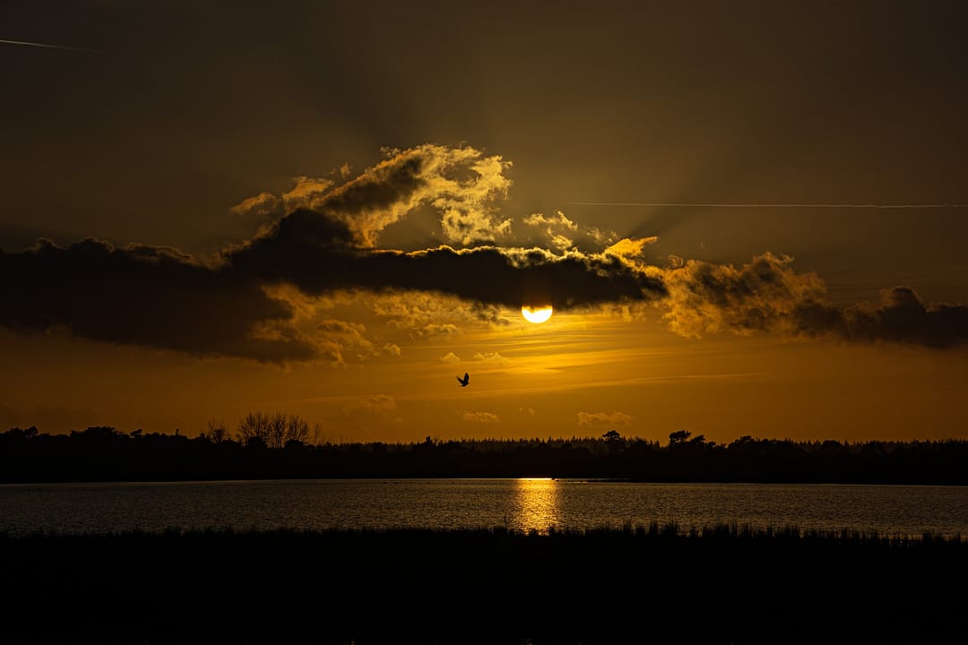 _DSC7191-ff573ef7