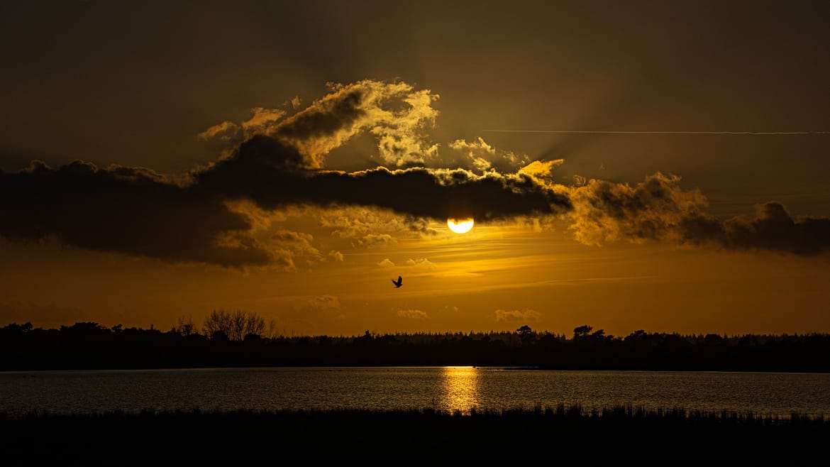 _DSC7191-ff573ef7