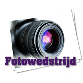 fotowedstrijd