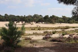 loonse-duinen