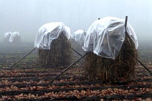 Foto Ad van Gerwen, Mist over het land.